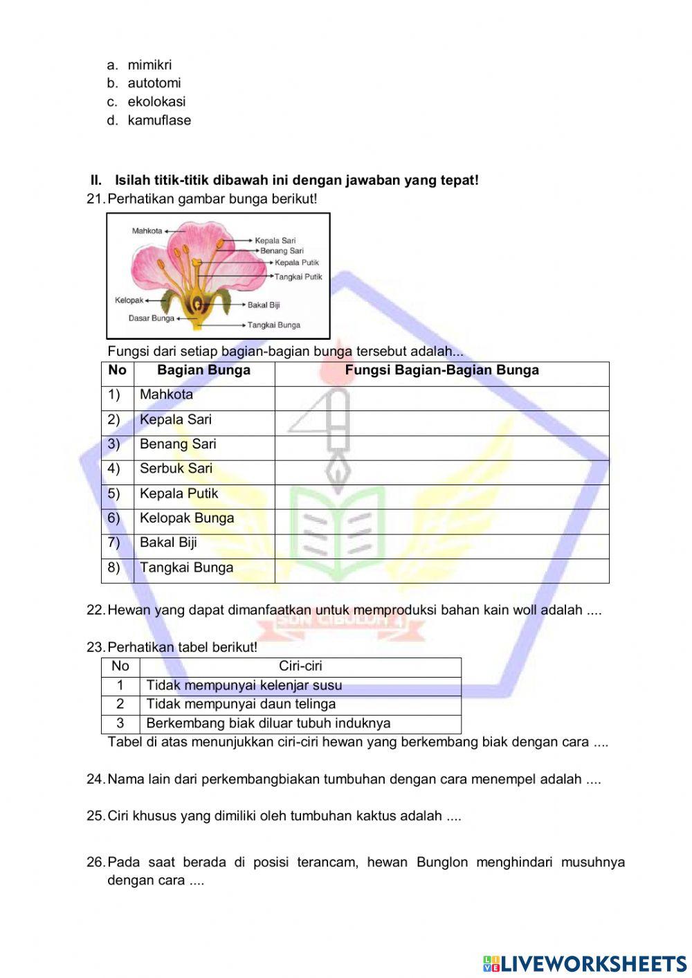 PTS Ganjil IPA PTS Ganjil IPA