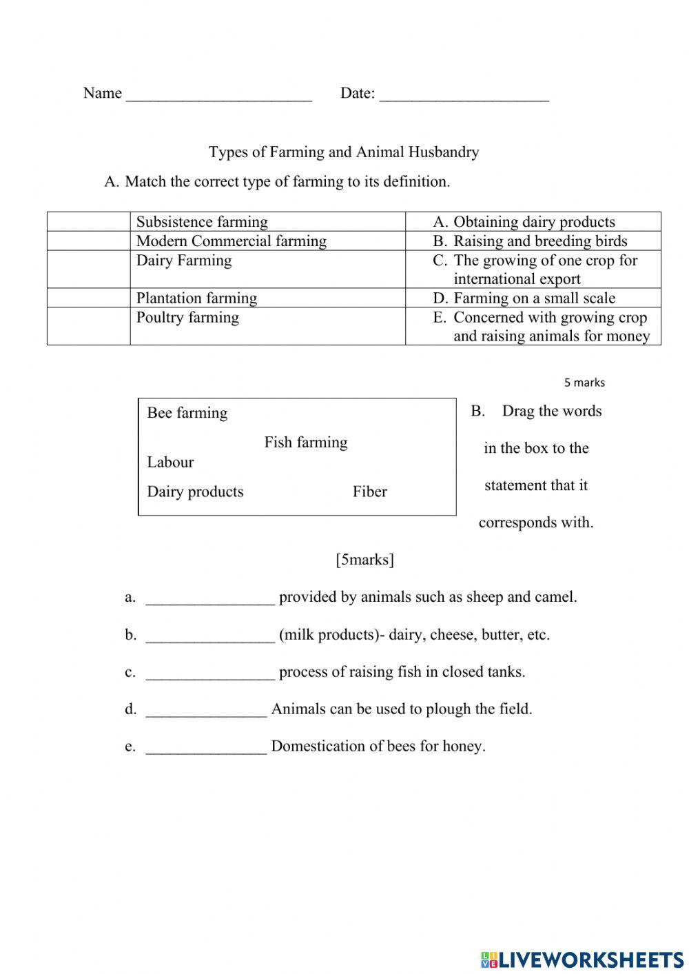 Commercial Farming- Animal Husbandry