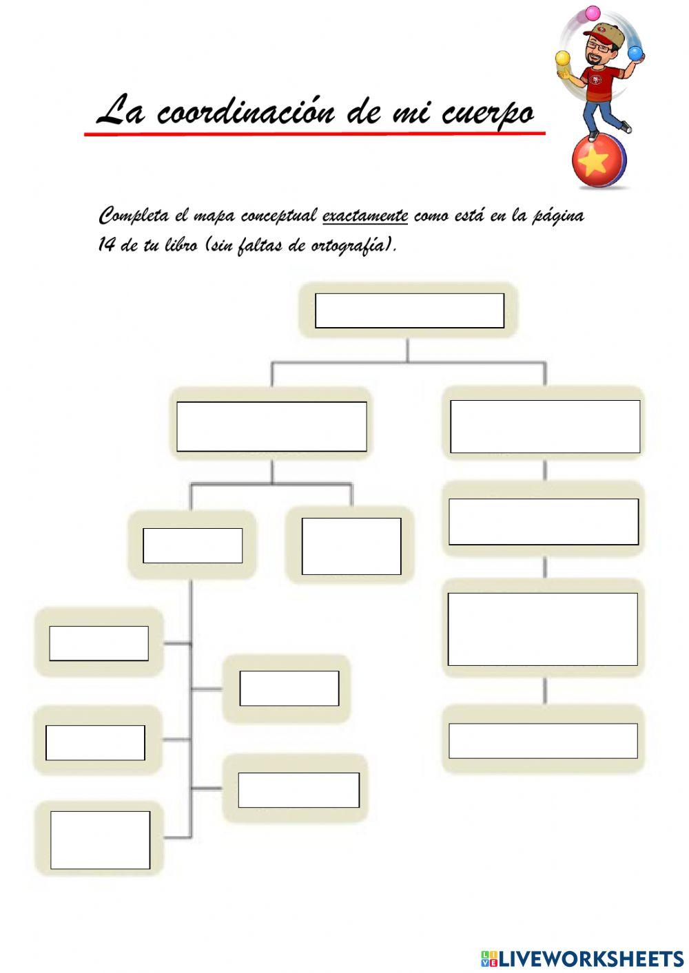 Coordinación cuerpo