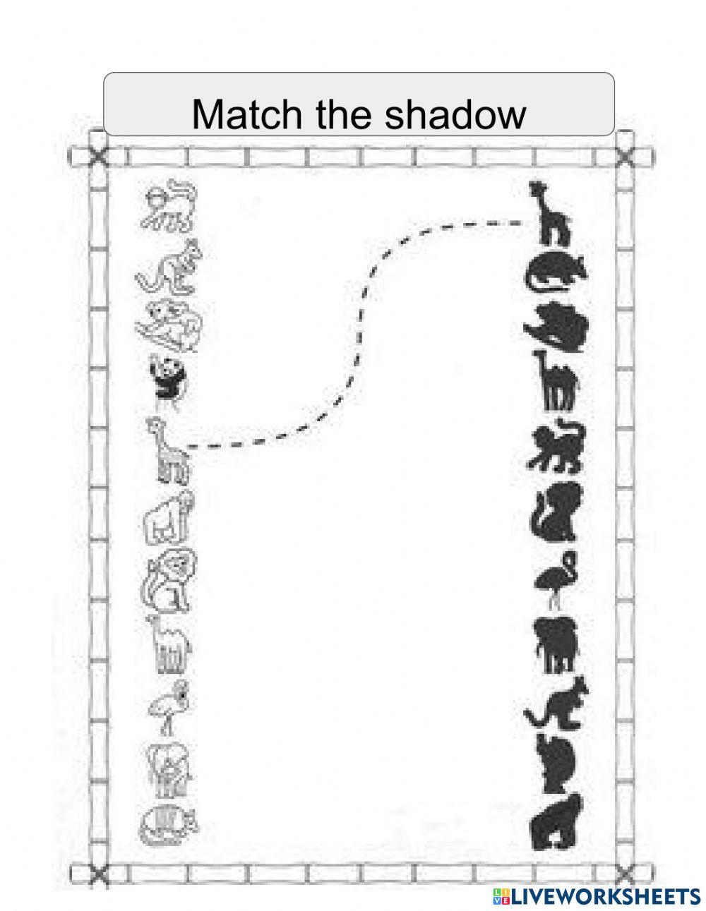 Matching animal with shadow-Pinyin