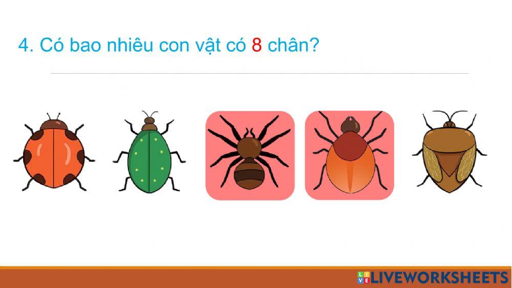 Toán: Các số 7, 8, 9