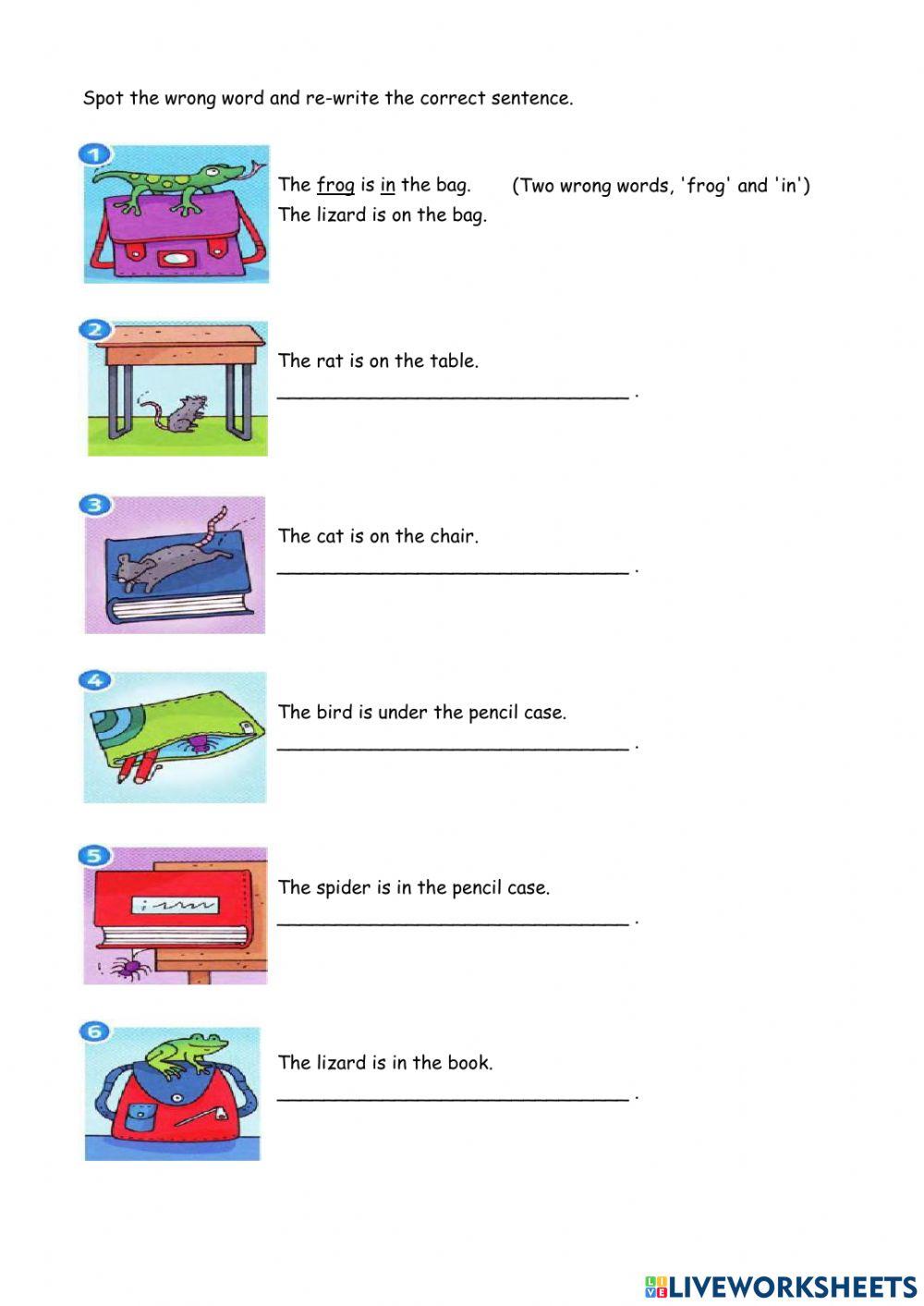 Supermind Year 1 Grammar on in under