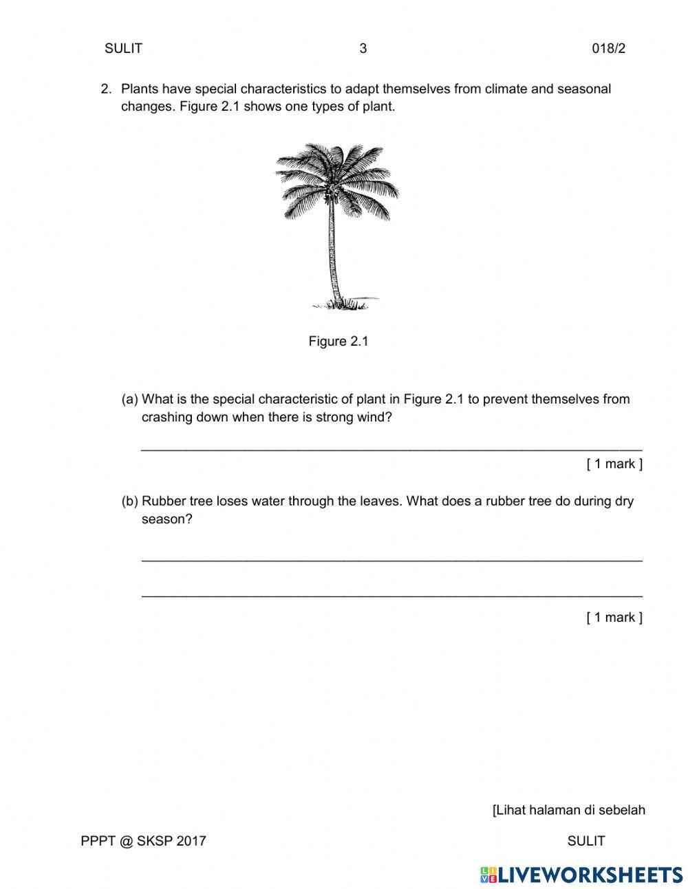 Y5 Science DLP Paper 2