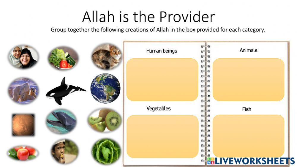 Allah is the provider