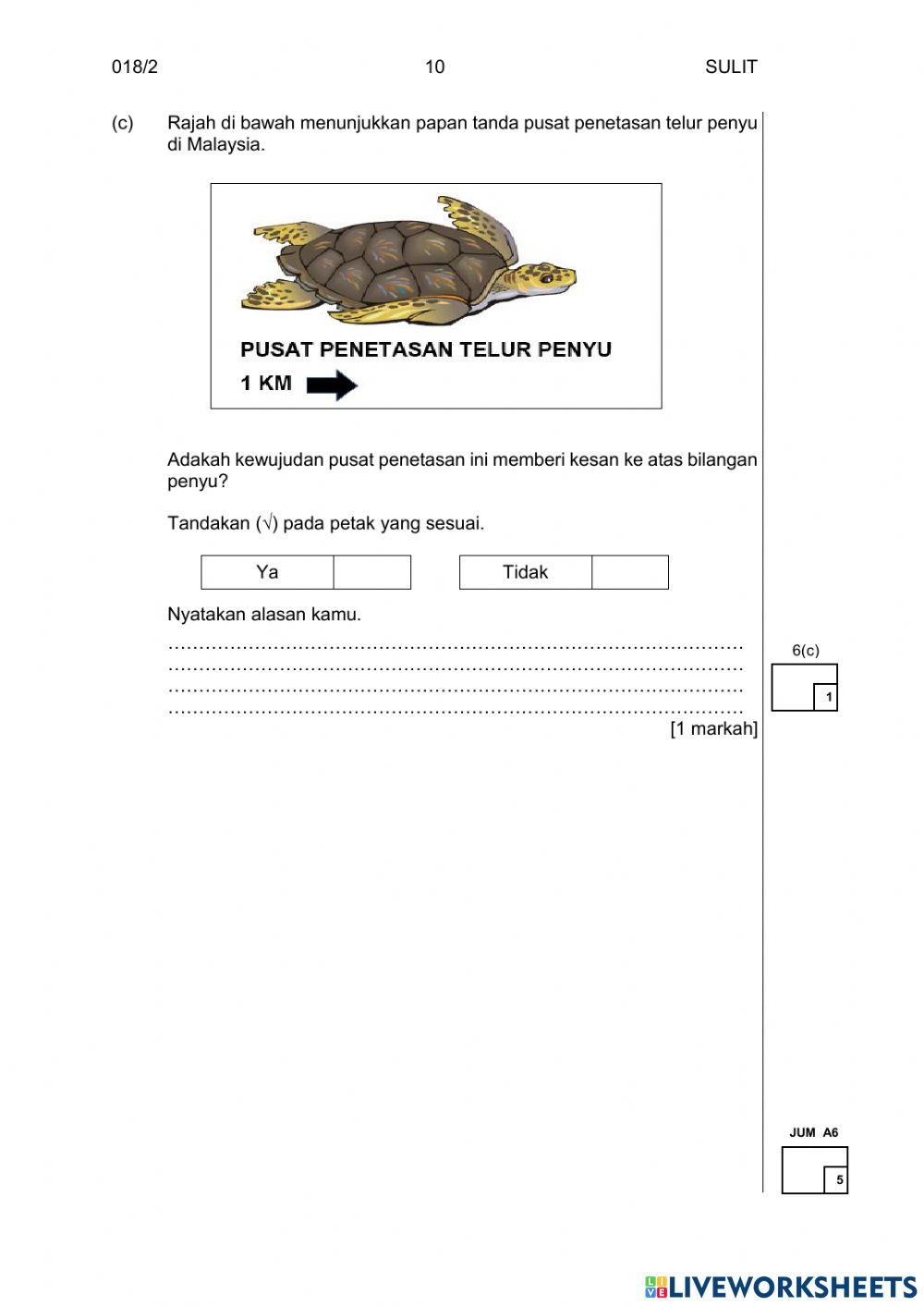 Y5 & Y6 Science Paper 2