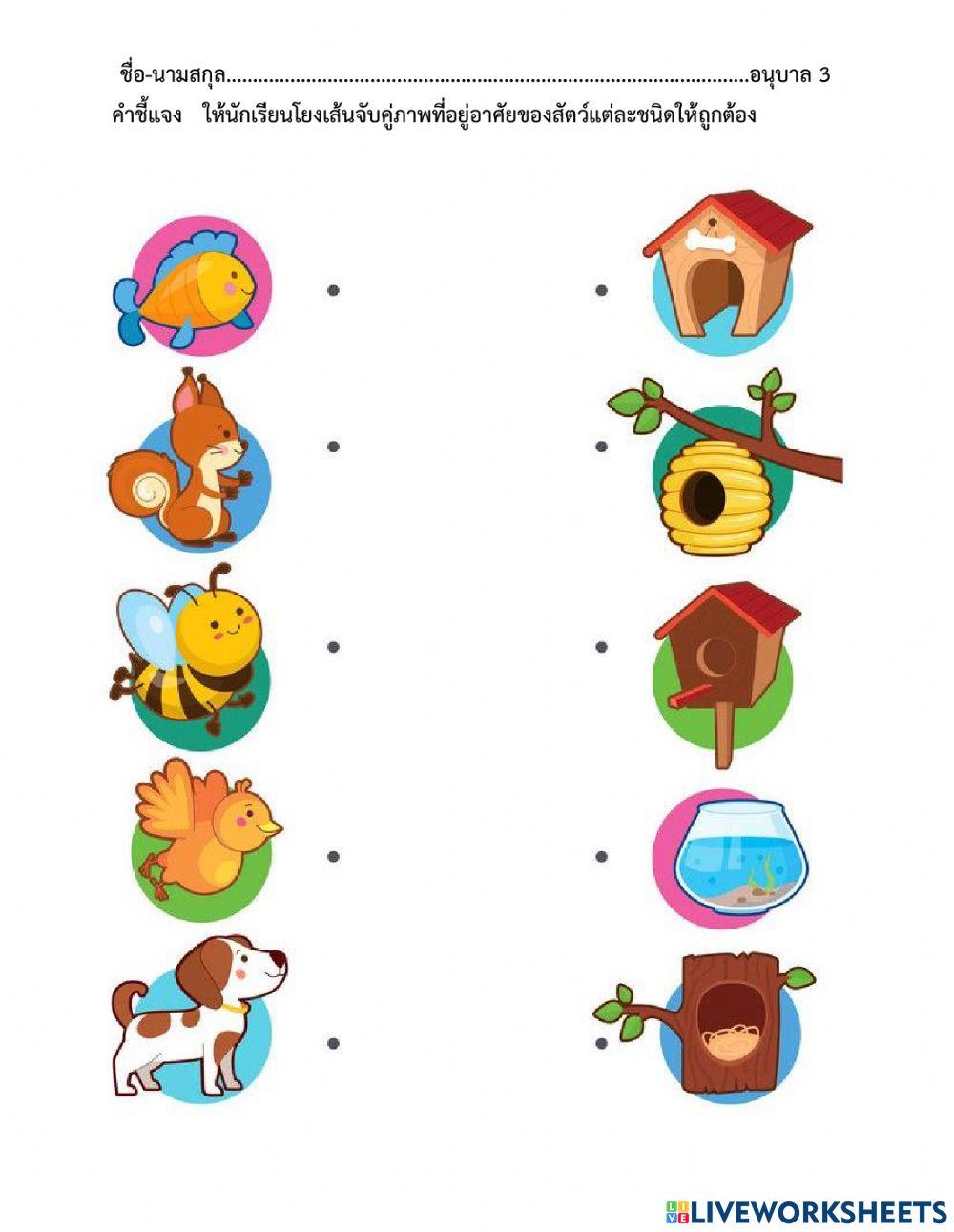 จับคู่ภาพที่อยู่อาศัย