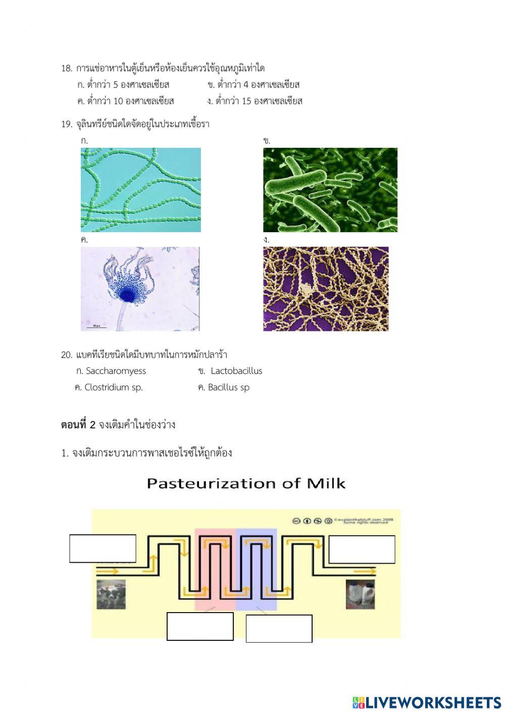 ข้อสอบ วิชาอาหาร