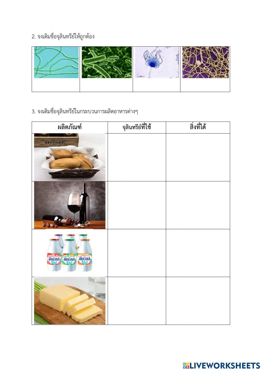ข้อสอบ วิชาอาหาร