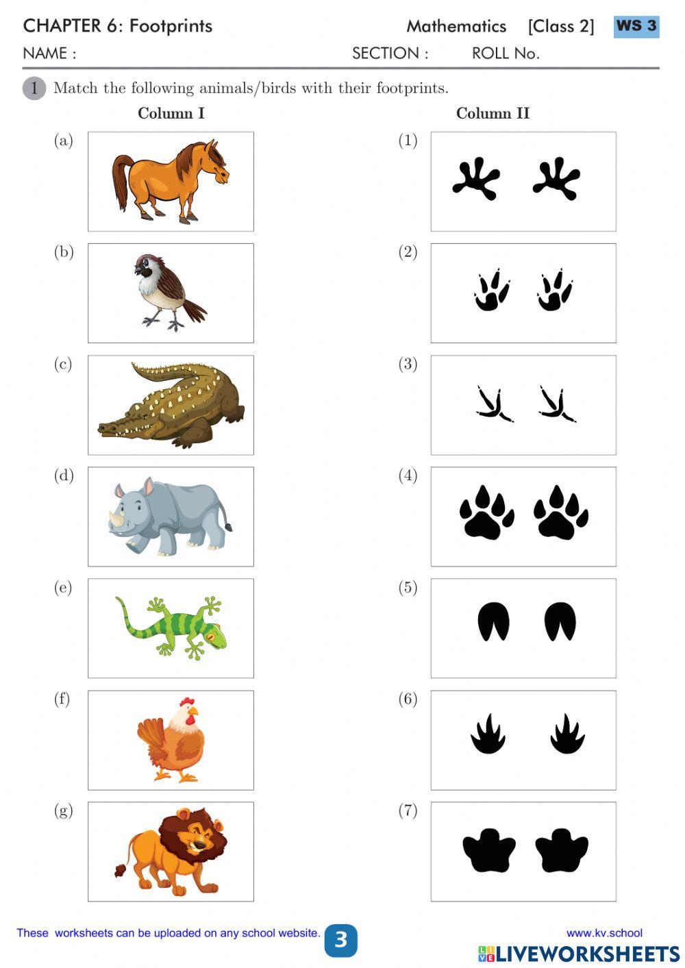 Match the following animal footprints worksheet live worksheets