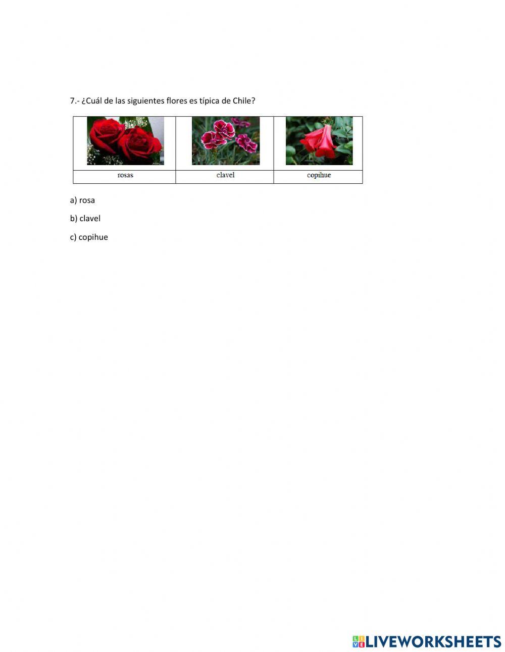 Cuidado del patrimonio