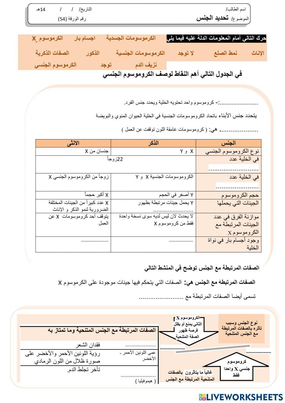 ورقة 54تفاعلية3