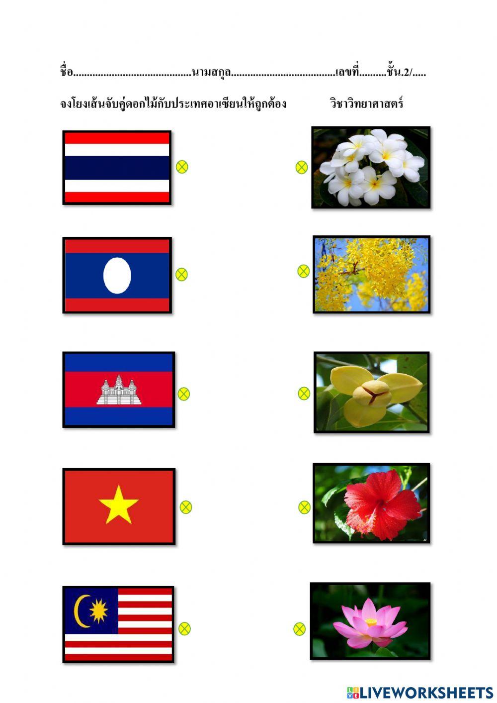 ใบงานวิทยาศาสตร์เรื่อง ดอกไม้ประจำชาติอาเซียน