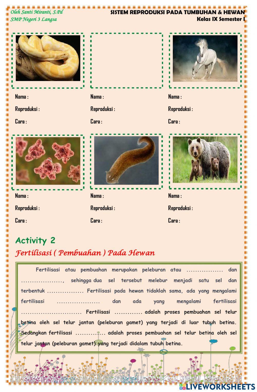 Sistem Reproduksi pada Hewan