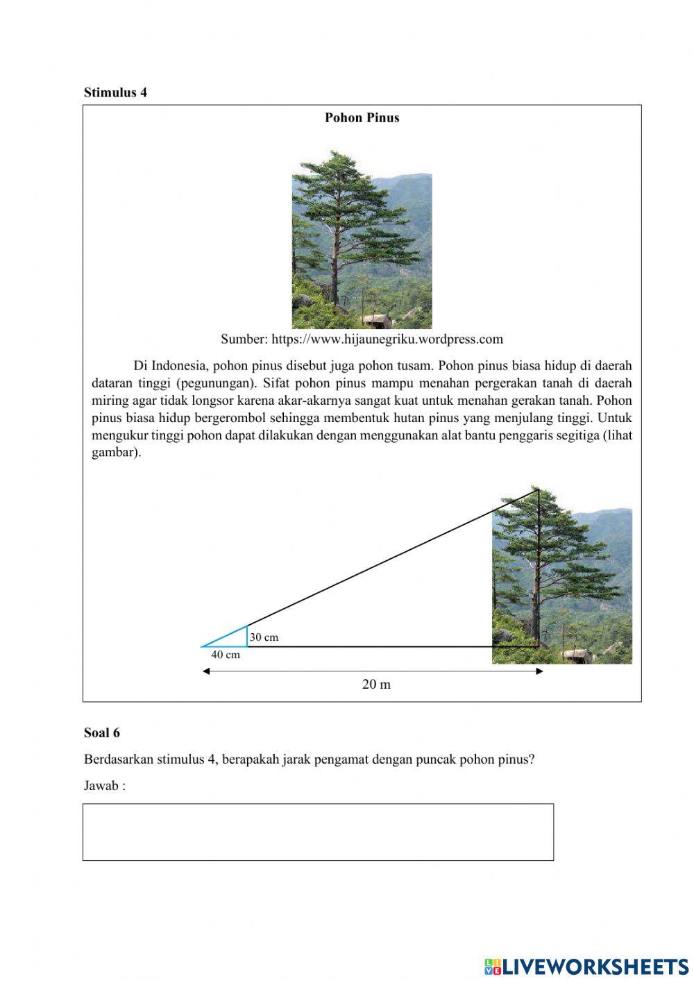 AKM Numerasi Pertemuan 7