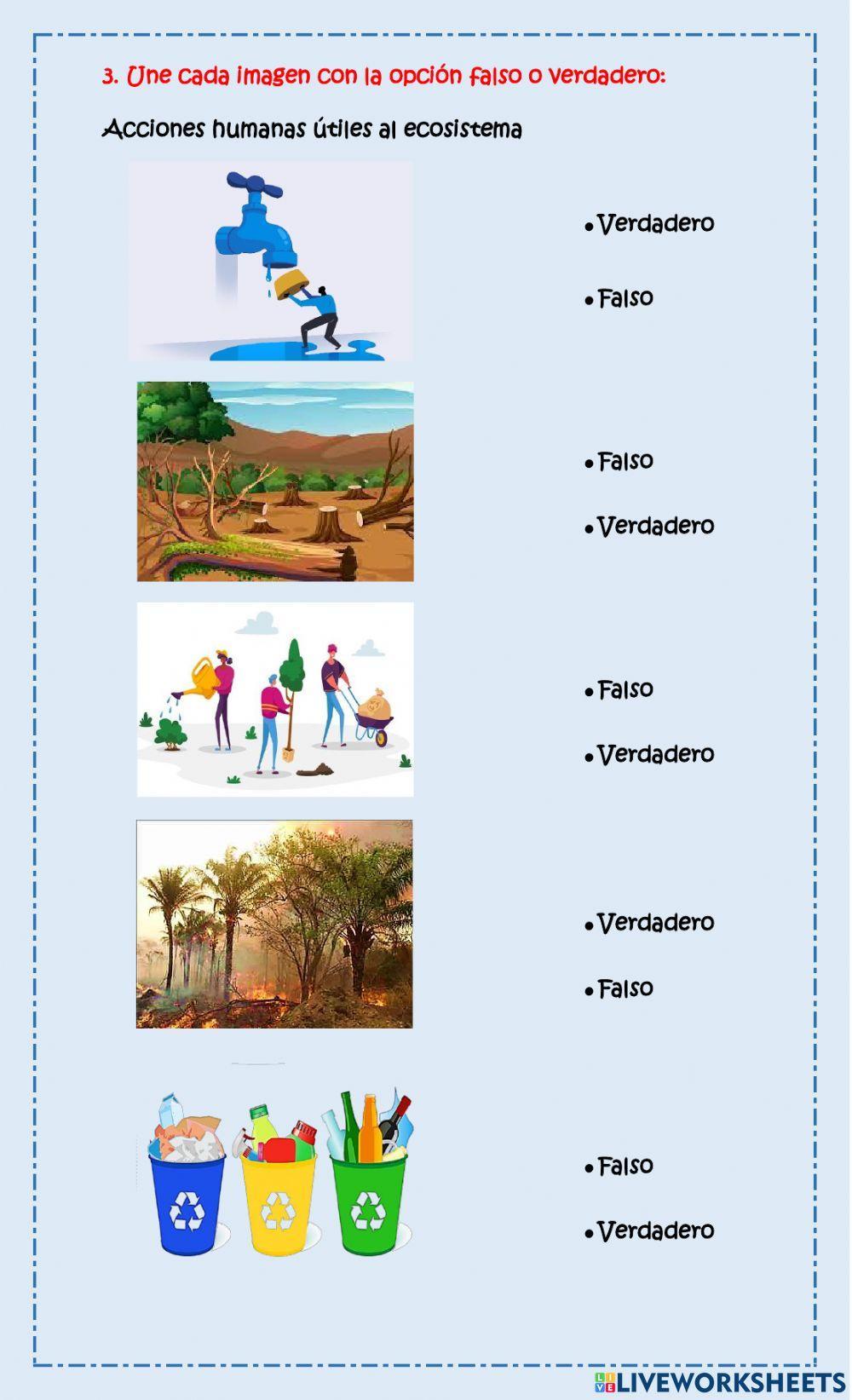 Elementos de vida en la madre tierra