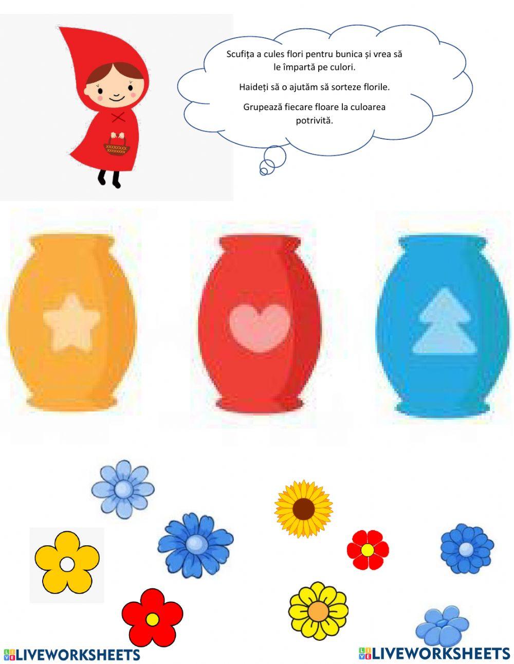 Scufita si florile colorate