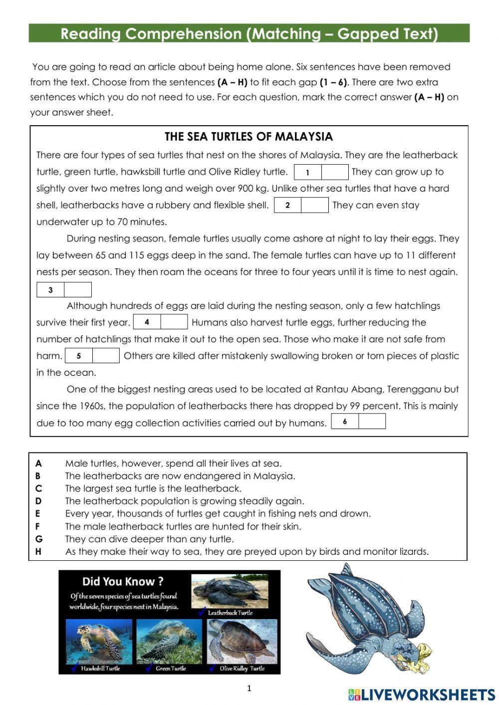 Matching gapped text - sea turtles in malaysia