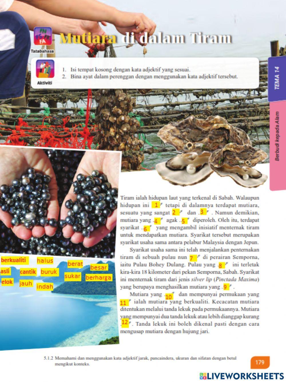 Mutiara di dalam tiram (m-s179)