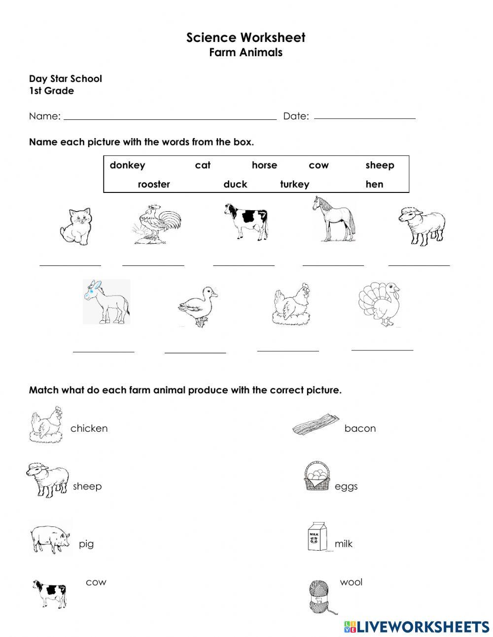 Farm animals online exercise for grade 1 | Live Worksheets