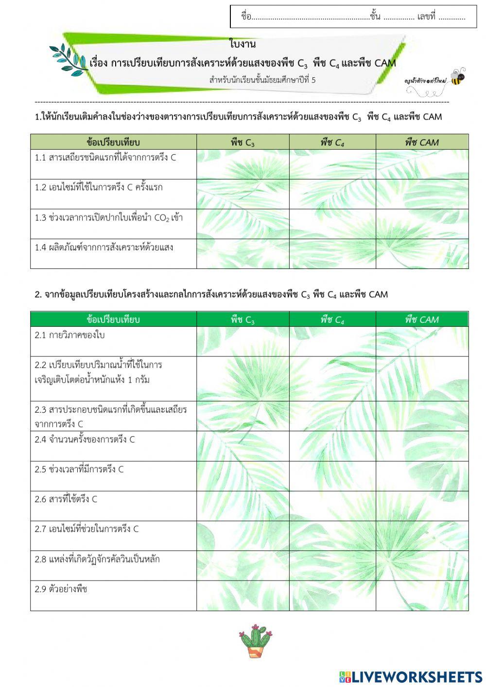การสังเคราะห์ด้วยแสงของพืช c3 พืช c4 และพืช cam