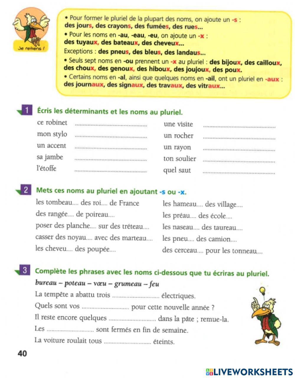 Le Pluriel Des Noms Exercices Pdf Pluriel des noms (préparation de la dictée) worksheet | Live Worksheets