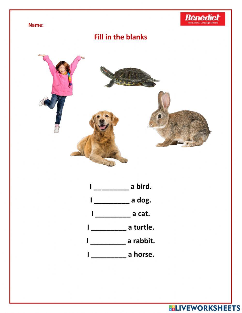 Kids 1 - Unit 6 Activities in class