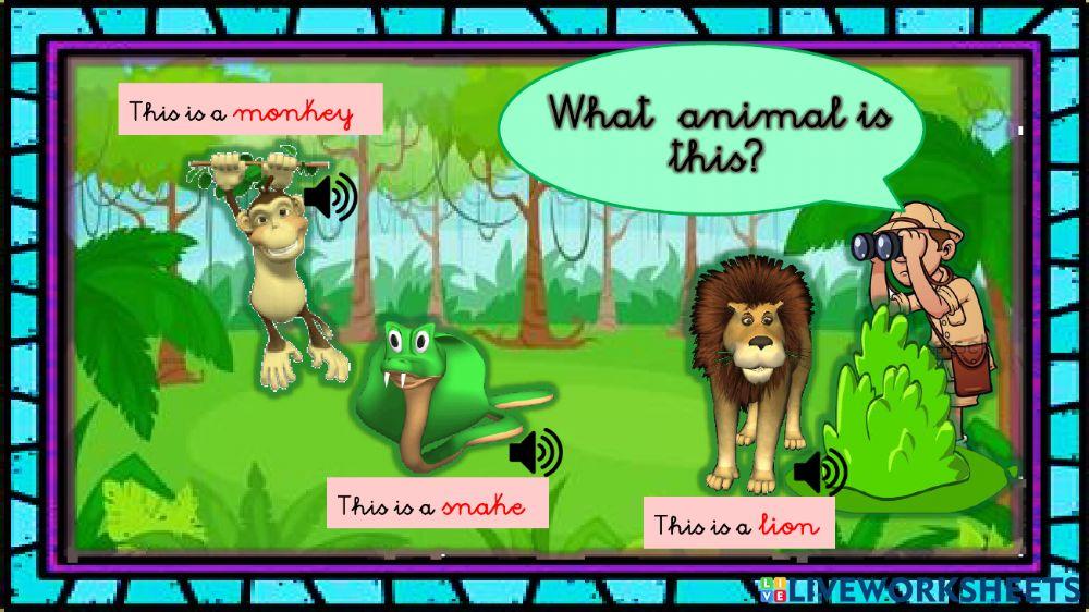 Zoo animals