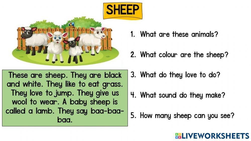 Year 1 Unit 3 Sheep