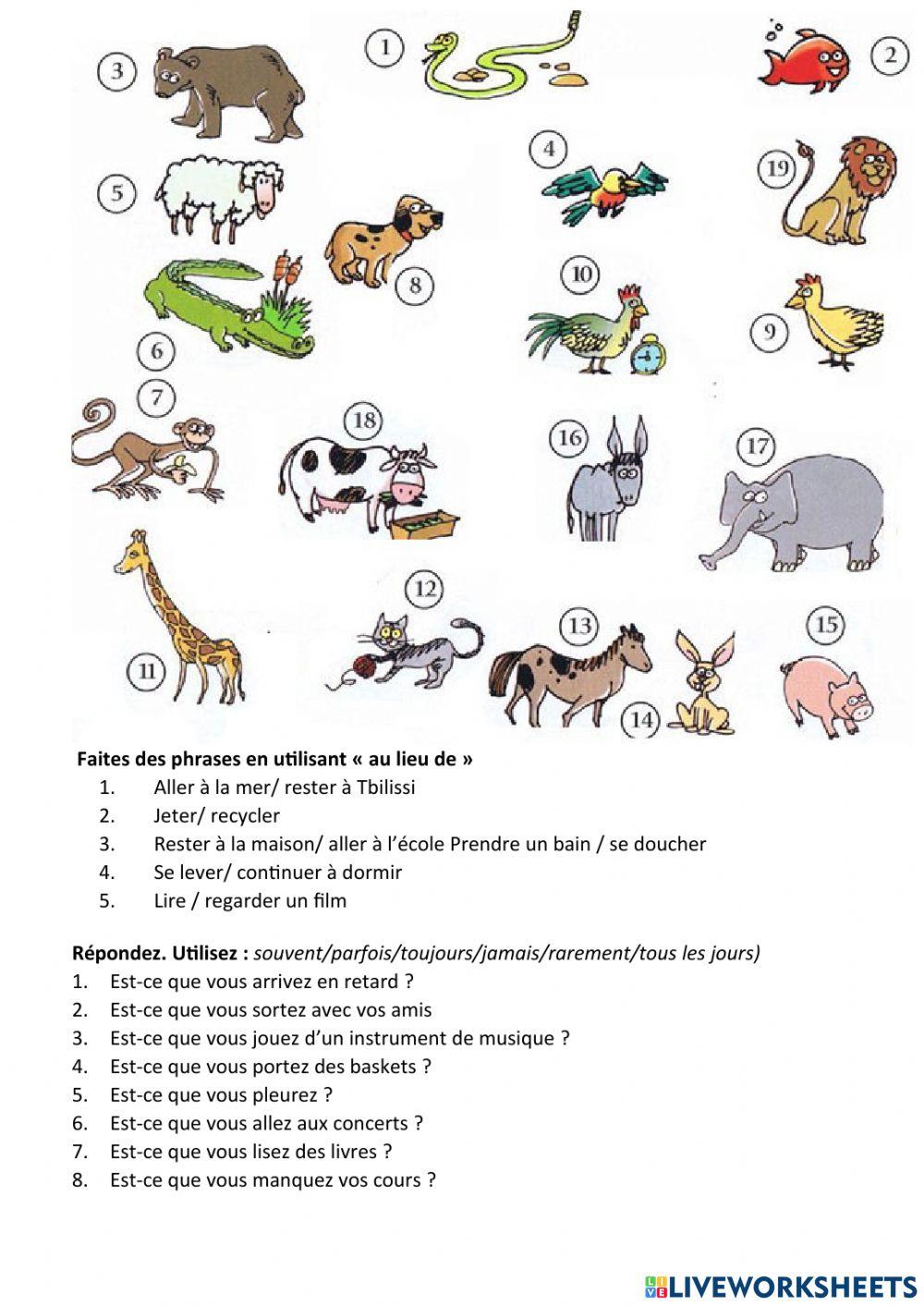 Module 3 leçon 3 devoir.