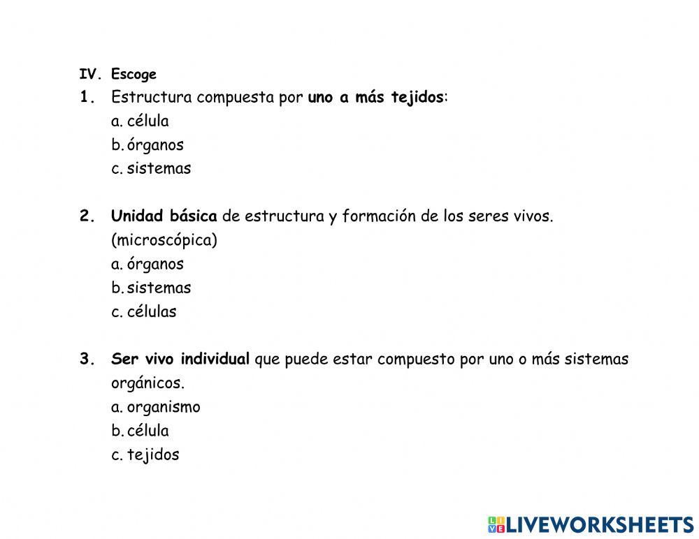 La celula-3 partes - esquema de organización