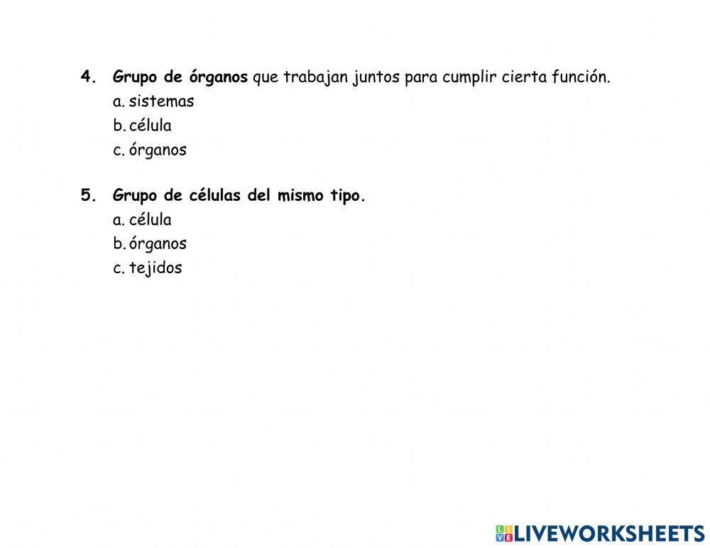 La celula-3 partes - esquema de organización