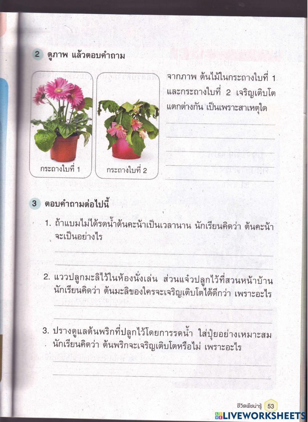 ปัจจัยที่มีผลต่อการเจริญเติบโตของพืช2