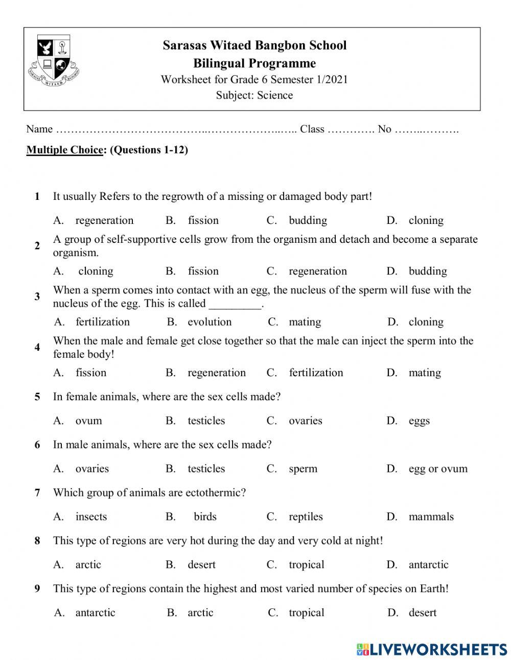 Worksheet