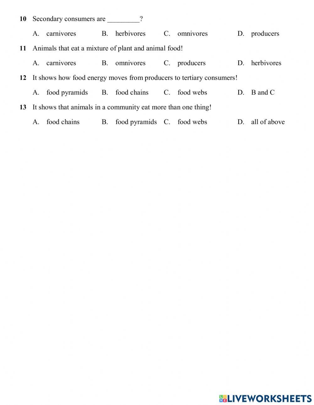 Worksheet