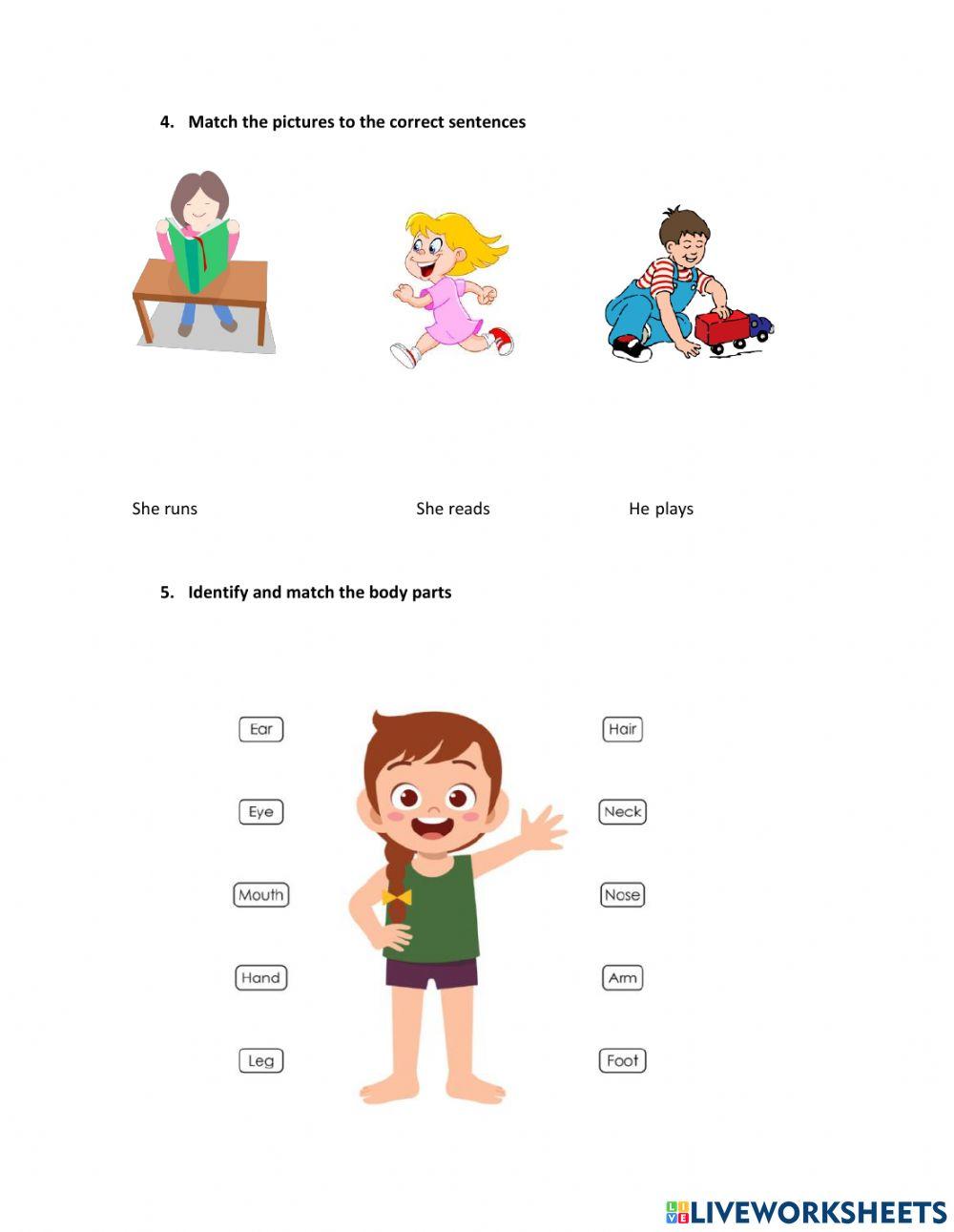 Vocabulary , spelling, and labeling activities