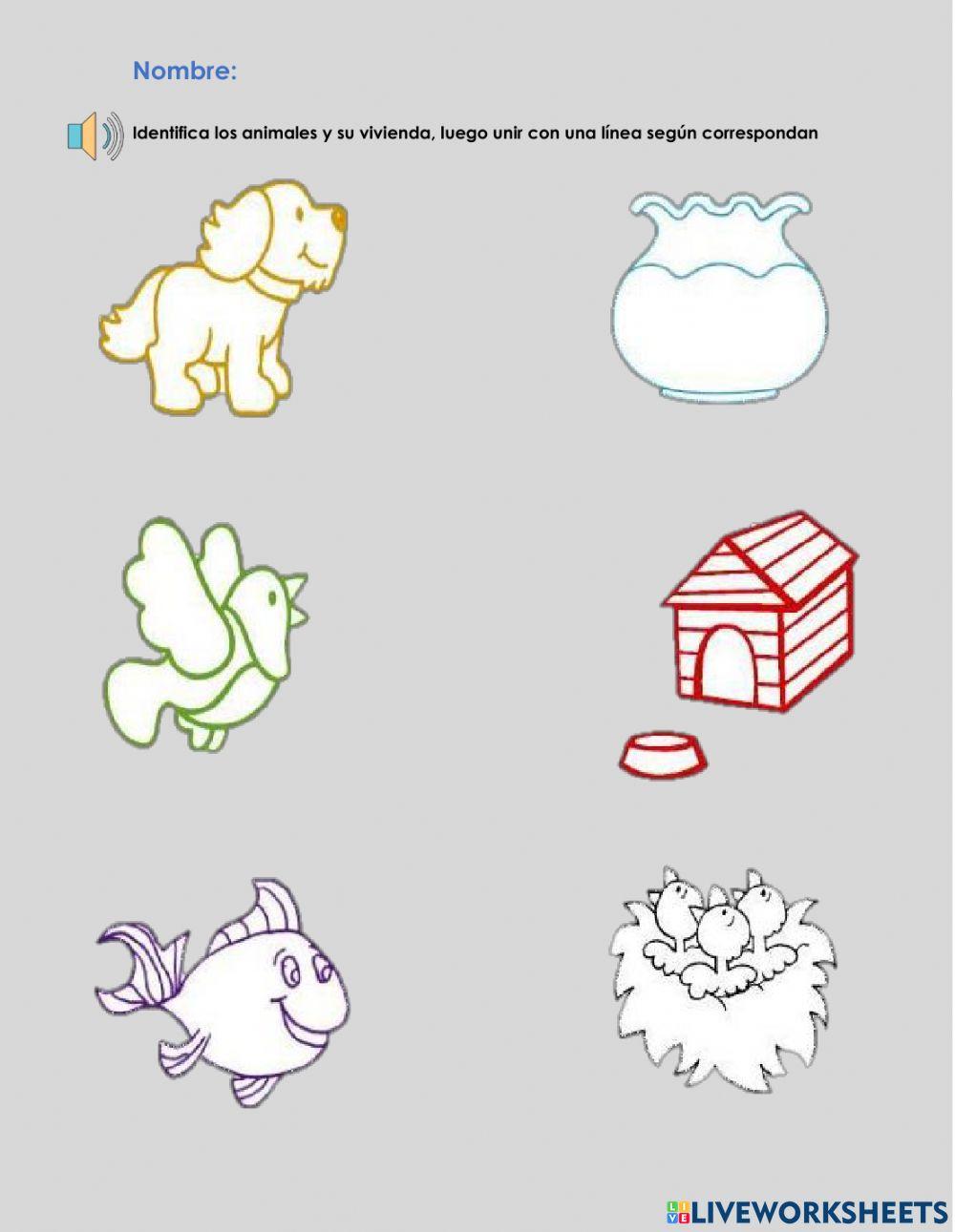 Conjunto pertenece y no pertenece.