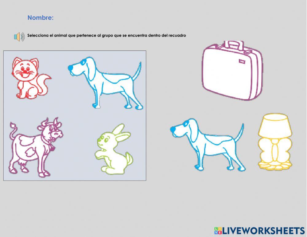 Conjunto pertenece y no pertenece.