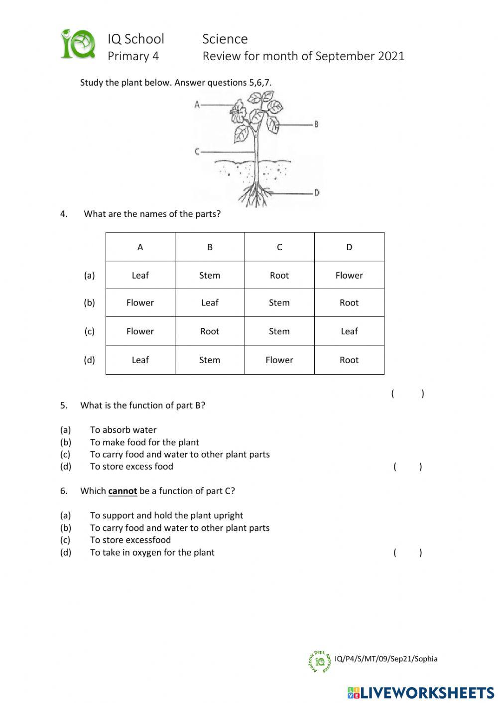 IQ-P4-S-MT-09-Sep21-Sophia