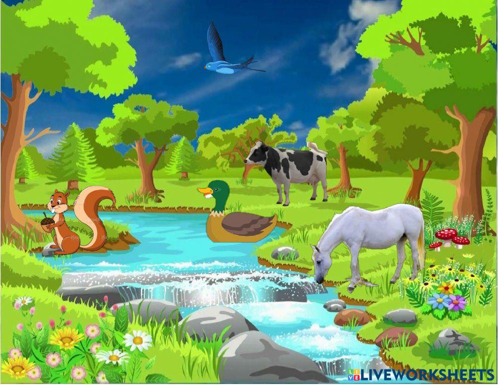 La naturaleza es mágica