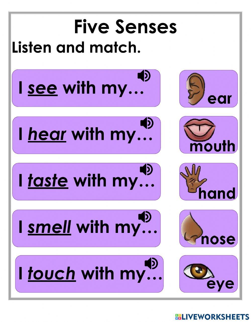 Five Senses Worksheet