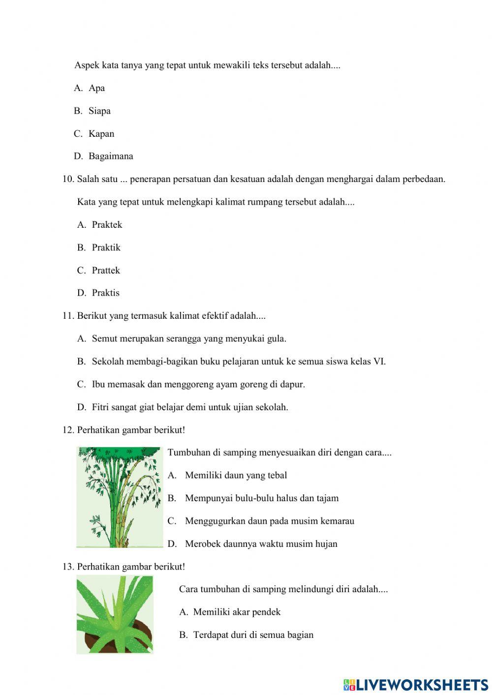Penilaian Tengah Semester 1 thn 2021-2022