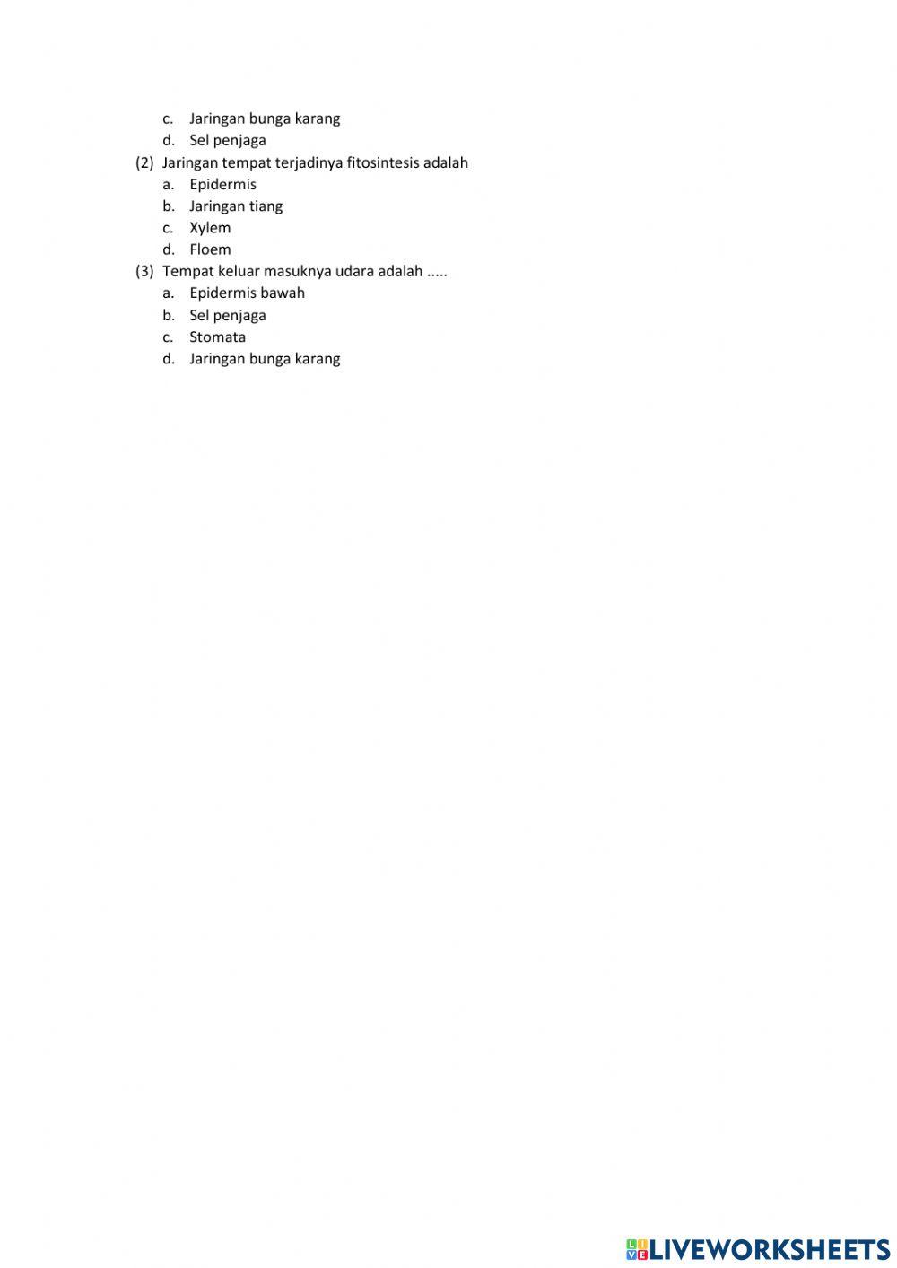 Struktur dan fungsi jaringan tumbuhan