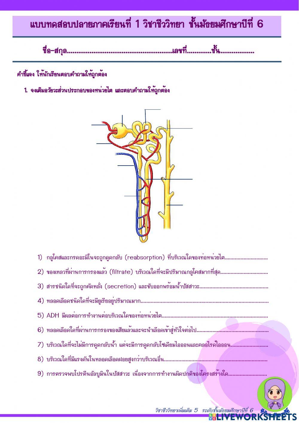 ระบบขับถ่ายและระบบประสาท