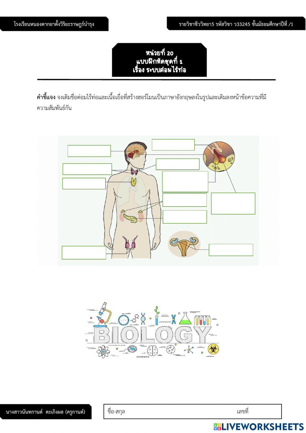 ระบบต่อมไร้ท่อ