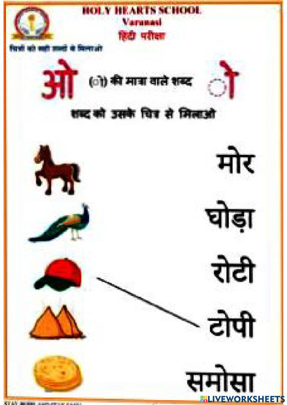 Cycle test hindi class1