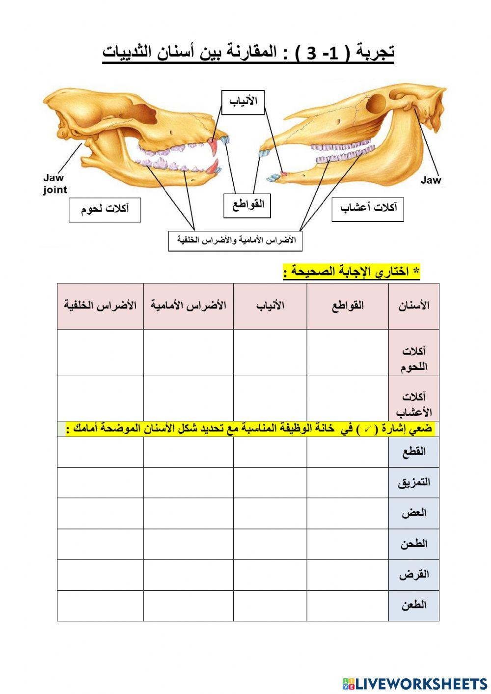 تجربة مقارنة اسنان الثدييات