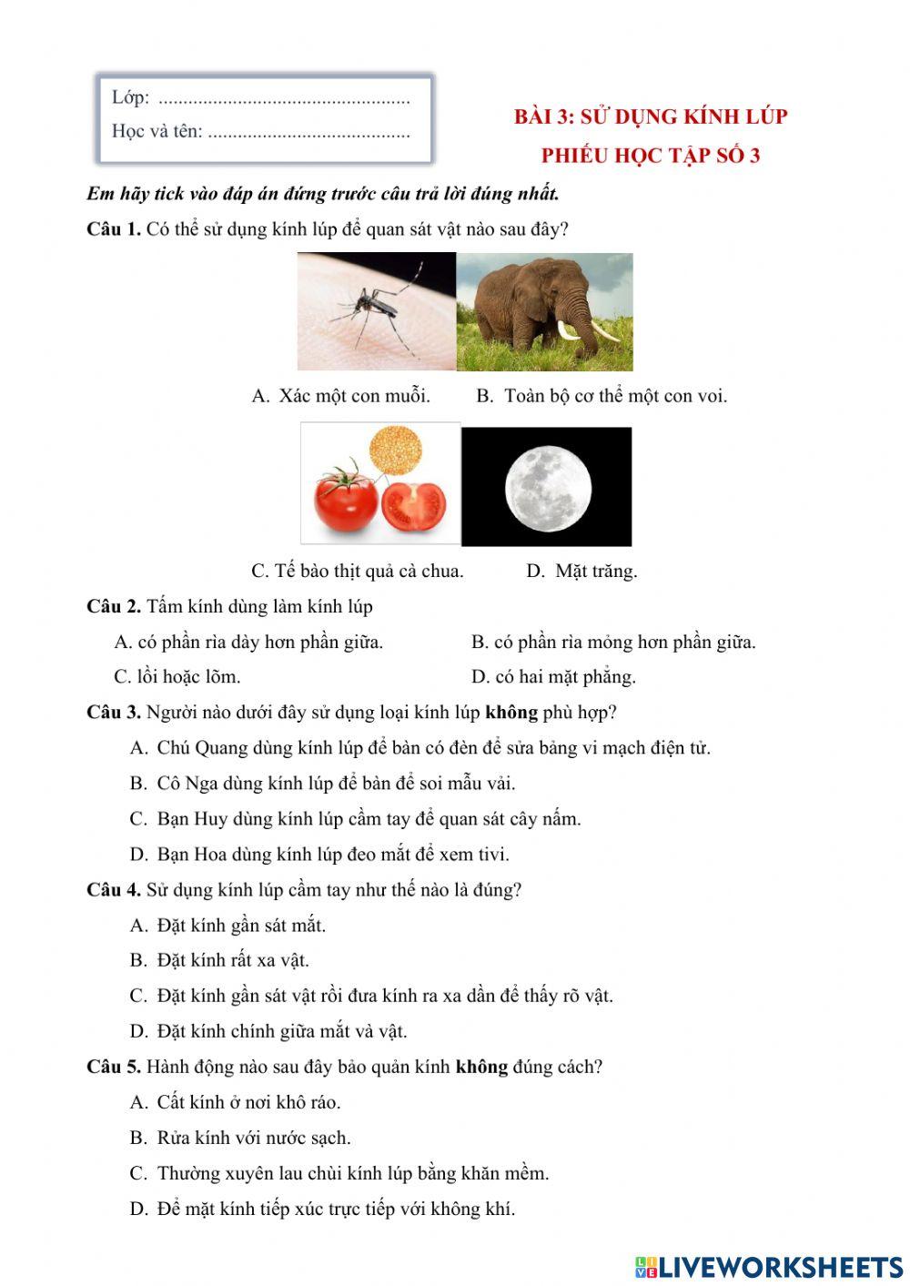 Củng cố bài kính lúp