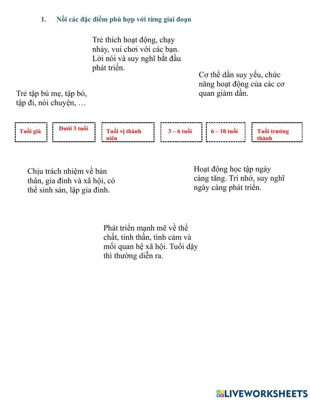 Các giai đoạn của đời người