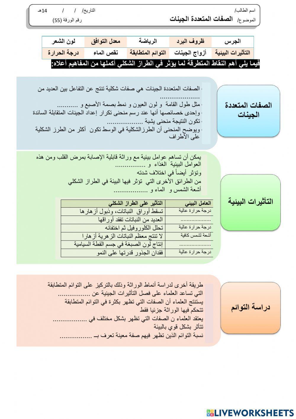 ورقة 55تفاعلية3