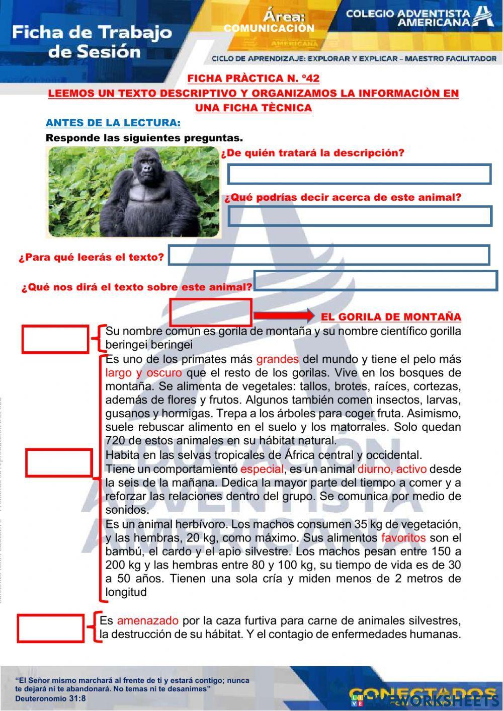 Ficha tecnica la descripcion